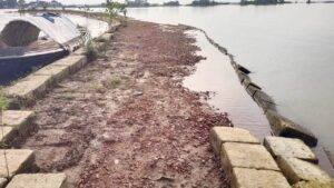 নেত্রকোনায় ফসলরক্ষা বাঁধের দুই হাজার ব্লক লুট হাওরজুড়ে আতঙ্কে কৃষক