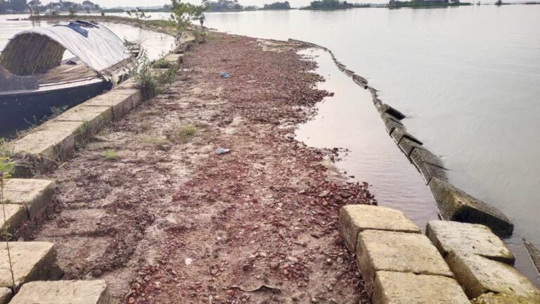নেত্রকোনায় ফসলরক্ষা বাঁধের দুই হাজার ব্লক লুট হাওরজুড়ে আতঙ্কে কৃষক
