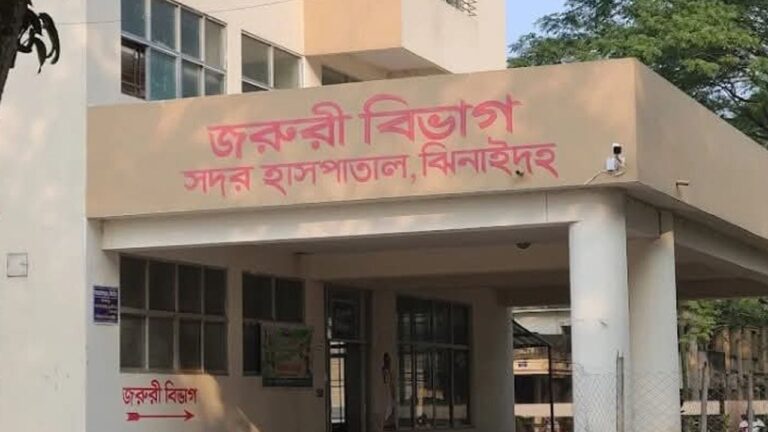 ঝিনাইদহের বেগবতী নদী থেকে নিখোঁজ ট্রাক হেলপারের মরদেহ উদ্ধার