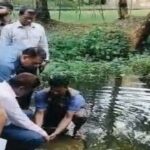 ভোলায় ১০৭টি বিরল প্রজাতির কচ্ছপ উদ্ধার অবমুক্তকরণে উদ্বেগ ও পাচারকারীদের শাস্তির দাবি