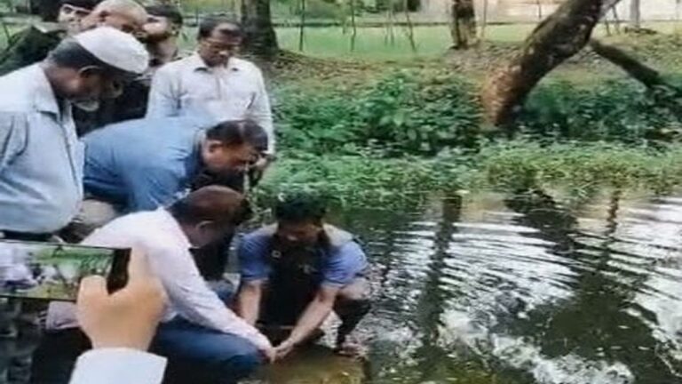 ভোলায় ১০৭টি বিরল প্রজাতির কচ্ছপ উদ্ধার অবমুক্তকরণে উদ্বেগ ও পাচারকারীদের শাস্তির দাবি