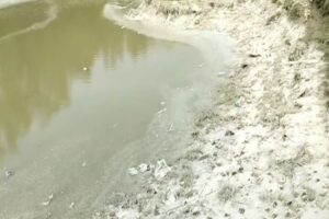 সীতাকুণ্ডে শিল্পবর্জ্যে সংকটাপন্ন বঙ্গোপসাগরের জীববৈচিত্র্য ও মৎস্যসম্পদ