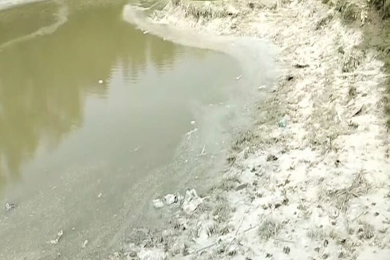 সীতাকুণ্ডে শিল্পবর্জ্যে সংকটাপন্ন বঙ্গোপসাগরের জীববৈচিত্র্য ও মৎস্যসম্পদ