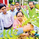 বরিশালে দেশীয় ফলের নির্যাস থেকে প্রাকৃতিক খাদ্যরঙ উদ্ভাবন করে সাড়া ফেলেছেন নারী উদ্যোক্তা