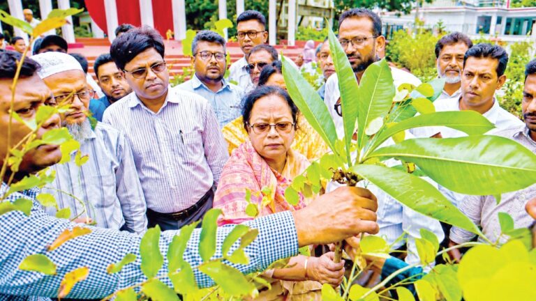 বরিশালে দেশীয় ফলের নির্যাস থেকে প্রাকৃতিক খাদ্যরঙ উদ্ভাবন করে সাড়া ফেলেছেন নারী উদ্যোক্তা