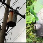 ফেনীতে ট্রান্সফরমার চুরির হিড়িক সাত মাসে খোয়া গেল ১০০টি যন্ত্র