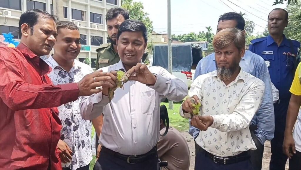 চাঁপাইনবাবগঞ্জের শিবগঞ্জে ১১ টিয়া পাখি উদ্ধার ও অবমুক্ত