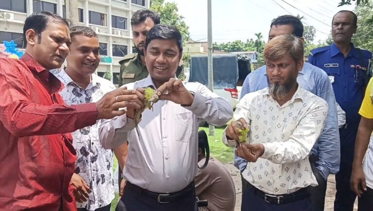 চাঁপাইনবাবগঞ্জের শিবগঞ্জে ১১ টিয়া পাখি উদ্ধার ও অবমুক্ত