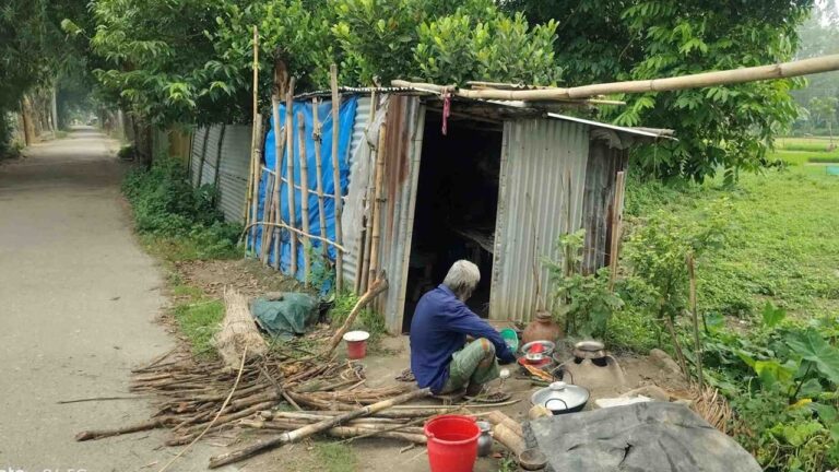 সড়কের পাশে ঝুপড়িতে মানবেতর জীবন কাটাচ্ছেন বৃদ্ধ দম্পতি