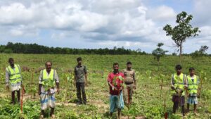 উখিয়ার পাহাড়ি বনাঞ্চলে সাড়ে ৬ লাখ দেশীয় প্রজাতির চারা রোপণ