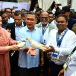 পেশাদারিত্ব বজায় রেখে চিকিৎসকদের দায়িত্ব পালনের আহ্বান তারেক রহমানের