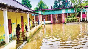 হালুয়াঘাটে শিক্ষক ও অবকাঠামোগত সংকটে ধুঁকছে প্রাথমিক শিক্ষা কার্যক্রম