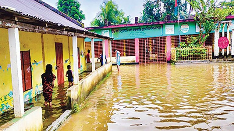 হালুয়াঘাটে শিক্ষক ও অবকাঠামোগত সংকটে ধুঁকছে প্রাথমিক শিক্ষা কার্যক্রম