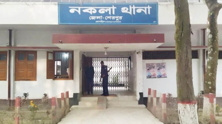 শেরপুরের নকলায় শিশু বাঁচাতে গিয়ে পানিতে ডুবে কিশোরীর মৃত্যু
