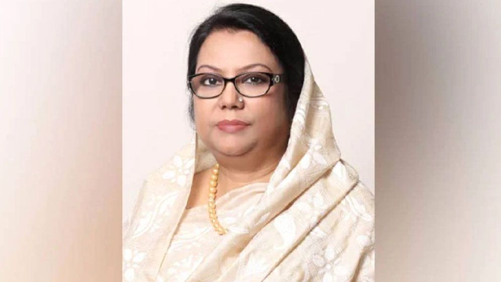 আঞ্চলিক এভিয়েশন হাবে রূপান্তর ও বিমান বহর আধুনিকায়নে সরকারের মহাপরিকল্পনা