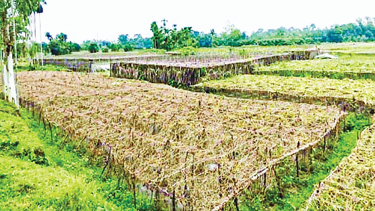 বাঁশখালীতে বন্যায় ৫৫ কোটি টাকার ফসলের ক্ষতি ও বাজারে সবজির আকাশচুম্বী দাম