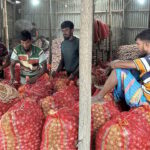 ফরিদপুরের সালথায় বাম্পার ফলনেও লোকসানের আশঙ্কায় দিশেহারা পেঁয়াজ চাষি