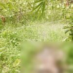 পিরোজপুরে নিখোঁজের ছয় দিন পর কাঠ ব্যবসায়ীর গলিত লাশ উদ্ধার