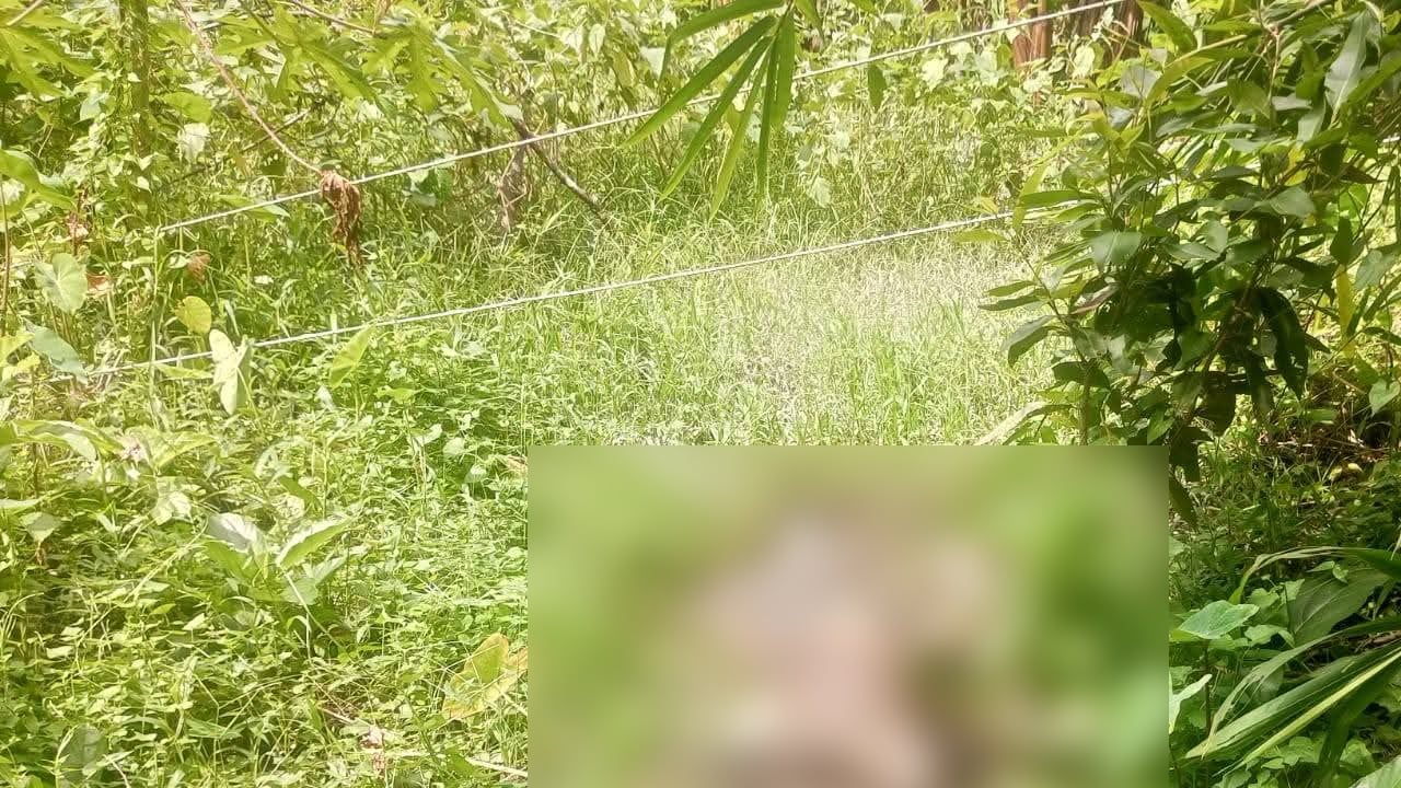 পিরোজপুরে নিখোঁজের ছয় দিন পর কাঠ ব্যবসায়ীর গলিত লাশ উদ্ধার