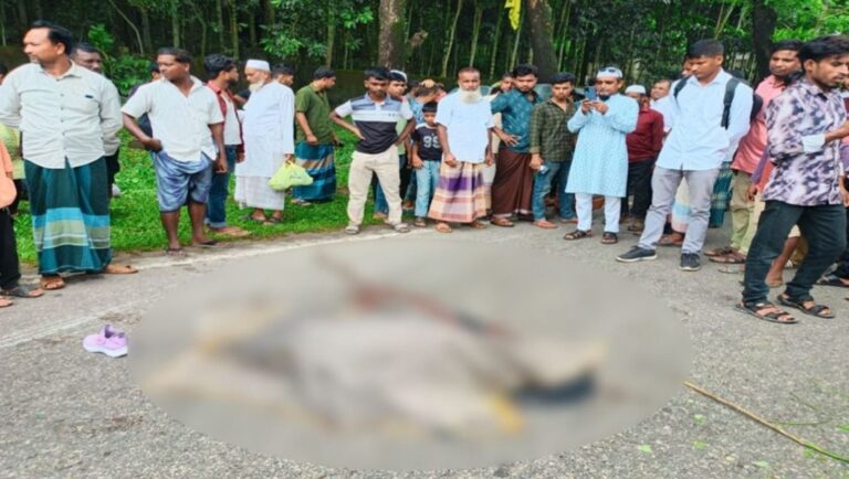 সিলেট-তামাবিল সড়কে বাসচাপায় পর্যটক শিক্ষার্থী নিহত আহত ৩