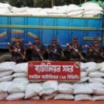 বিজয়নগরে ২৪ টন অবৈধ সারসহ ট্রাক আটক করেছে বিজিবি