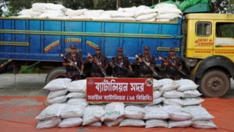 বিজয়নগরে ২৪ টন অবৈধ সারসহ ট্রাক আটক করেছে বিজিবি