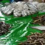 নেত্রকোনার হাওরে বিলুপ্তির পথে দেশীয় প্রজাতির মাছ সংরক্ষণে নেই কার্যকর উদ্যোগ