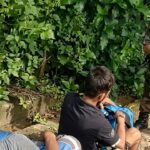 নালিতাবাড়ী সীমান্তে ১২ বাংলাদেশী ও তিন মাইক্রোবাসসহ দালাল আটক