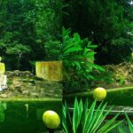 সীতাকুণ্ডে নজরুল স্কয়ারের ভাস্কর্যে অযত্নের ছাপ রক্ষণাবেক্ষণের দাবি স্থানীয়দের