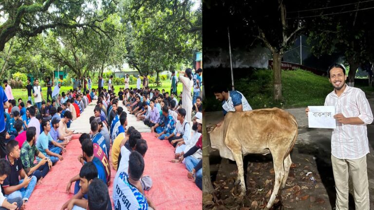 রাজশাহী বিশ্ববিদ্যালয়ে বাকশাল নামধারী গরু জবাই করে জুলাই জিয়াফতের আয়োজন