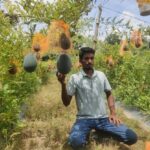 পড়াশোনার পাশাপাশি তরমুজ চাষে বাজিমাত দিনাজপুরের তরুণ মিনহাজের