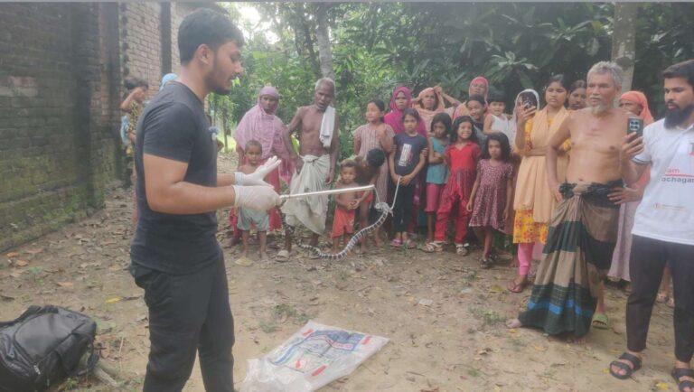 বোচাগঞ্জে শয়নকক্ষ থেকে বিষধর কালাচ সাপ উদ্ধার