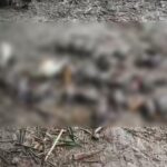 চুয়াডাঙ্গায় বিষ প্রয়োগে ২৯ পাখি হত্যায় বন বিভাগের মামলা