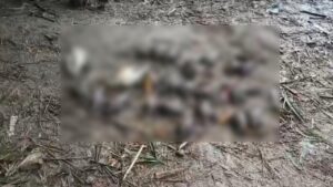 চুয়াডাঙ্গায় বিষ প্রয়োগে ২৯ পাখি হত্যায় বন বিভাগের মামলা