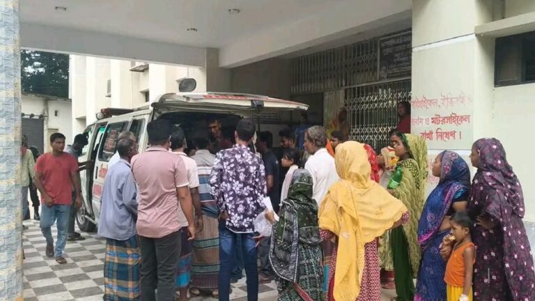 ঝিনাইদহে বিদ্যুৎস্পৃষ্ট হয়ে কৃষক দম্পতির মৃত্যু