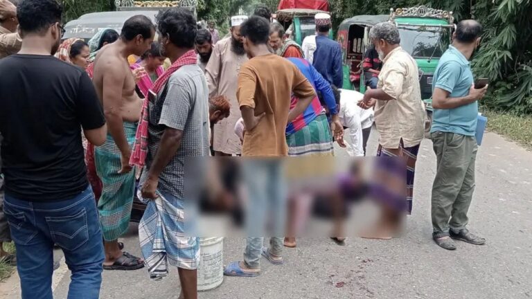 সখিপুরে ট্রাকচাপায় ছয় মাসের শিশুর মা নিহত
