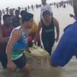 কক্সবাজার সৈকতে গোসলে নেমে তরুণের মৃত্যু