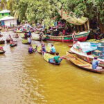 নেছারাবাদের ভাসমান পেয়ারা বাজার হিমাগারের অভাবে লোকসানের শঙ্কায় চাষিরা