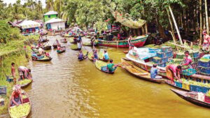নেছারাবাদের ভাসমান পেয়ারা বাজার হিমাগারের অভাবে লোকসানের শঙ্কায় চাষিরা