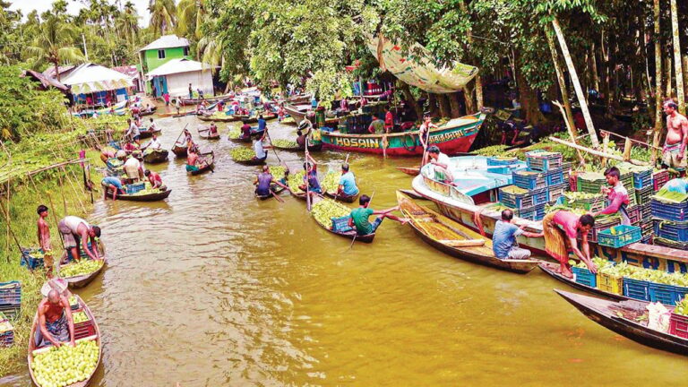 নেছারাবাদের ভাসমান পেয়ারা বাজার হিমাগারের অভাবে লোকসানের শঙ্কায় চাষিরা
