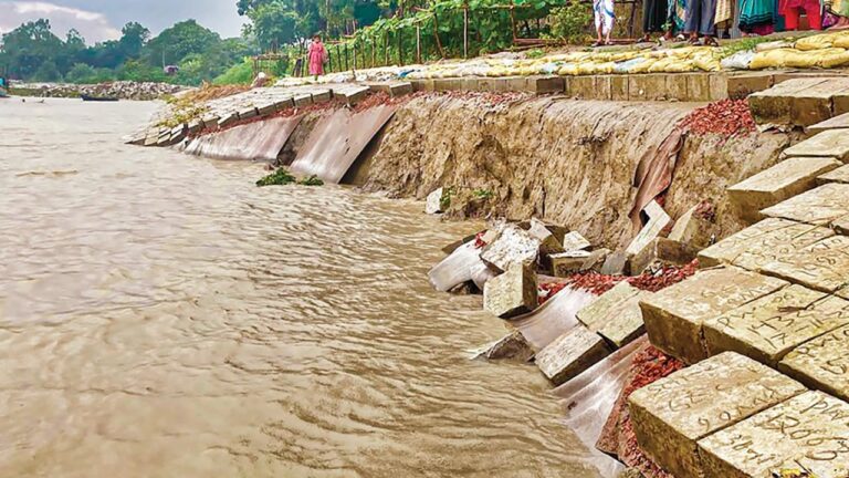 পদ্মার গতিপথ পরিবর্তনে মুন্সীগঞ্জে তীব্র ভাঙন আতঙ্ক ও তীররক্ষা বাঁধ ঝুঁকিতে