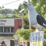 ঝিনাইদহে পুকুরের পানিতে ডুবে মাদ্রাসাছাত্রের মৃত্যু