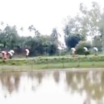 কুড়িগ্রামে সার না পেয়ে ডিলারের গুদাম ভেঙে কৃষকদের সার লুট