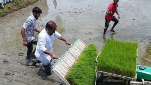 পূর্বধলায় রাইস ট্রান্সপ্লান্টারে রোপা আমন চাষাবাদ ও বৃক্ষরোপণ কর্মসূচি উদ্বোধন
