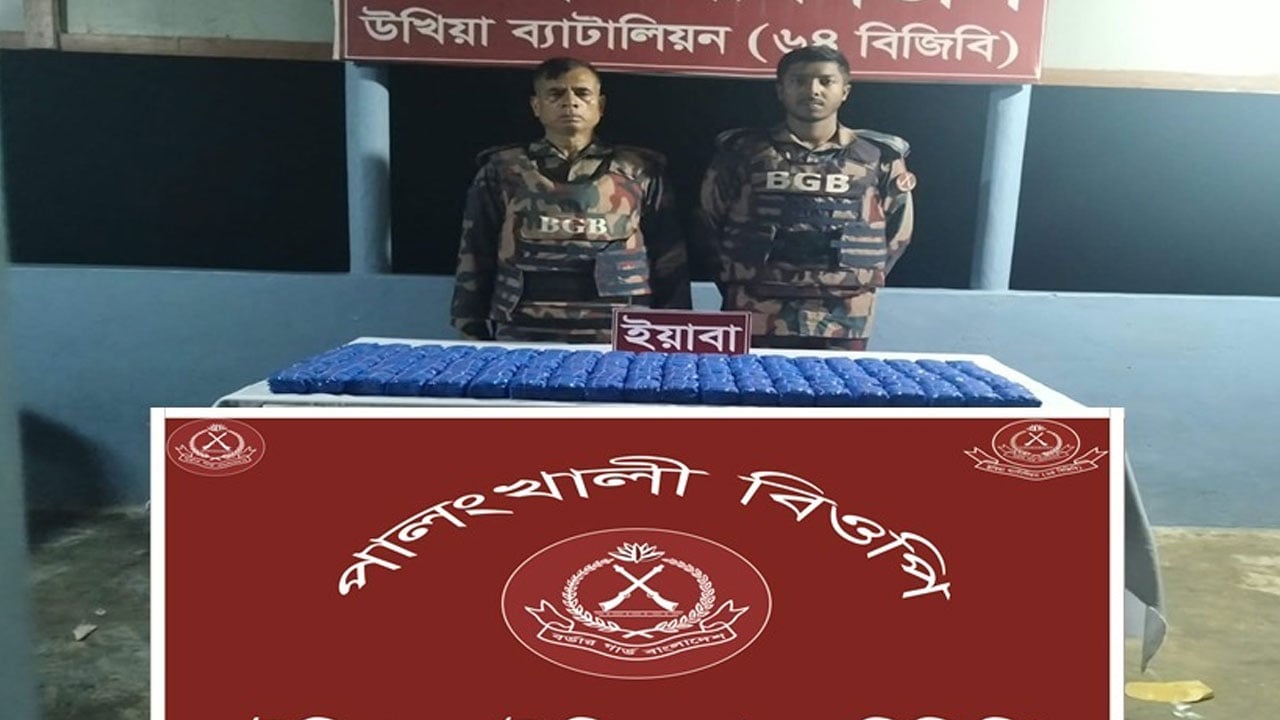 উখিয়ায় বিজিবির বিশেষ অভিযানে দুই লাখ পিস ইয়াবা জব্দ