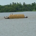 সুনামগঞ্জের ধর্মপাশায় বিলের পানিতে ডুবে দুই ভাইবোনের মৃত্যু