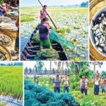 রাজৈরে নিষিদ্ধ চায়না দুয়ারির দাপটে বিলুপ্তির পথে দেশীয় মাছ