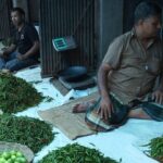 ভারত থেকে কাঁচা মরিচ আমদানি শুরু, বাজারে স্বস্তির আভাস