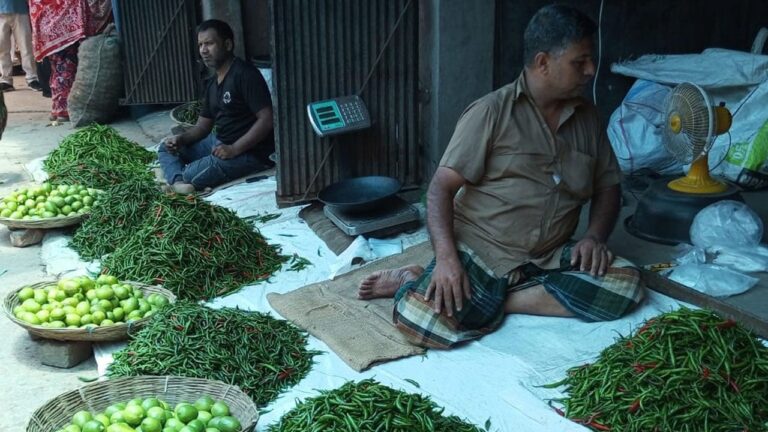 ভারত থেকে কাঁচা মরিচ আমদানি শুরু, বাজারে স্বস্তির আভাস