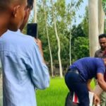 কুড়িগ্রামে ধানের জমি থেকে মানুষের খণ্ডিত পা উদ্ধার রহস্য উদঘাটনে তদন্তে পুলিশ